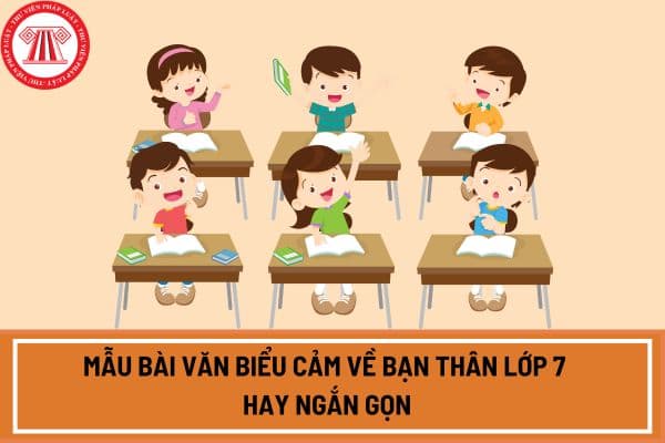 Mẫu bài văn biểu cảm về bạn thân lớp 7 hay ngắn gọn? Học sinh lớp 7 có quyền và nhiệm vụ gì?