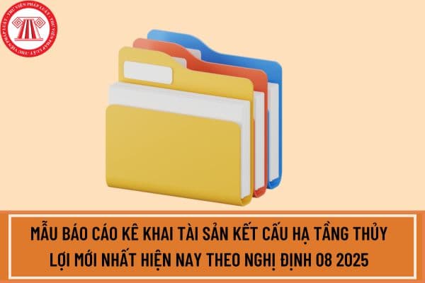 Mẫu báo cáo kê khai tài sản kết cấu hạ tầng thủy lợi mới nhất hiện nay theo Nghị định 08 2025? Tải Mẫu báo cáo ở đâu?