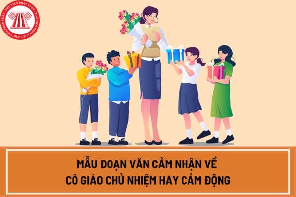 Mẫu đoạn văn cảm nhận về cô giáo chủ nhiệm hay cảm động nhất