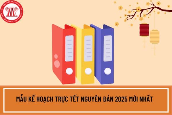 Mẫu Kế hoạch trực Tết nguyên đán 2025 mới nhất