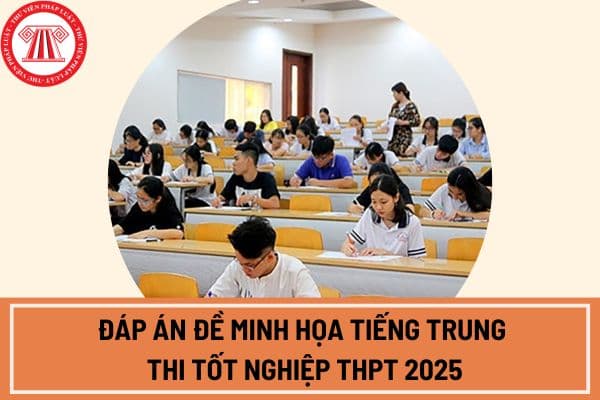 Đáp án đề minh họa tiếng Trung thi tốt nghiệp THPT 2025? Xem chi tiết đáp án đề minh họa tiếng Trung 2025 ở đâu?