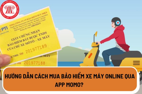Hướng dẫn cách mua bảo hiểm xe máy online qua app momo?
