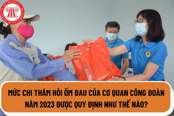 Mức chi thăm hỏi ốm đau của cơ quan công đoàn năm 2023 được quy định như thế nào? Hệ thống công đoàn Việt Nam được tổ chức như thế nào?