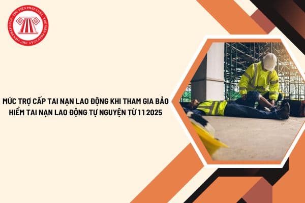 Mức trợ cấp tai nạn lao động khi tham gia bảo hiểm tai nạn lao động tự nguyện từ 1 1 2025 theo Nghị định 143 2024?