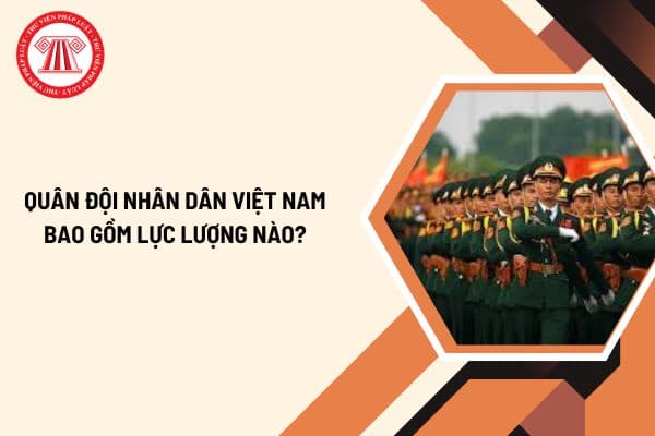 Quân đội nhân dân Việt Nam bao gồm lực lượng nào? Tiêu chuẩn của sĩ quan quân đội hiện nay được quy định như thế nào?