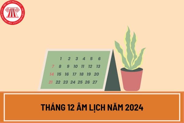 Tháng 12 âm lịch năm 2024 có bao nhiêu ngày? Tháng 12 âm lịch năm 2024 có ngày 30 không?