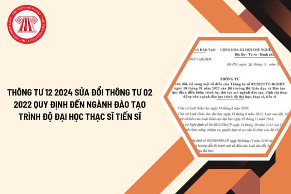 Thông tư 16 2024 sửa đổi Thông tư 02 2022 quy định đến ngành đào tạo trình độ đại học thạc sĩ tiến sĩ?