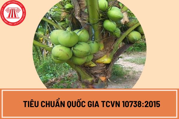 Tiêu chuẩn quốc gia TCVN 10738:2015 yêu cầu về cách trình bày đối với dừa quả tươi thu hoạch từ nhóm giống dừa lùn?