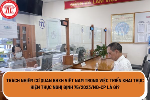 Trách nhiệm cơ quan BHXH Việt Nam trong việc triển khai thực hiện thực Nghị định 75/2023/NĐ-CP là gì?
