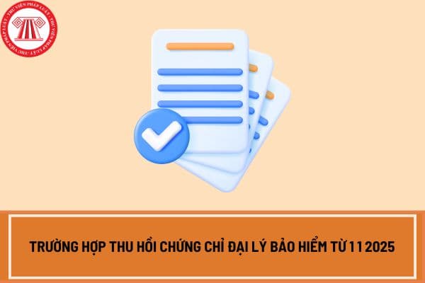 Trường hợp thu hồi chứng chỉ đại lý bảo hiểm từ 1 1 2025 theo Thông tư 85 2024 bao gồm những trường hợp nào?