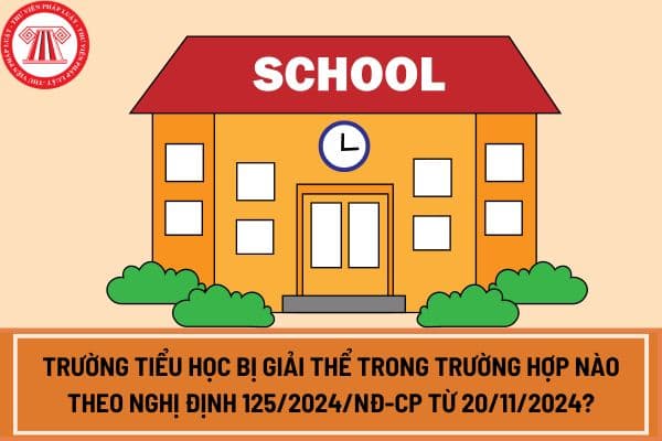 Trường tiểu học bị giải thể trong trường hợp nào theo Nghị định 125/2024/NĐ-CP từ 20/11/2024?