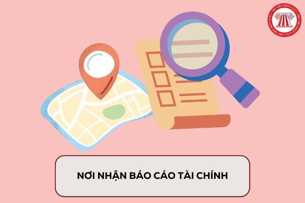 Pháp luật