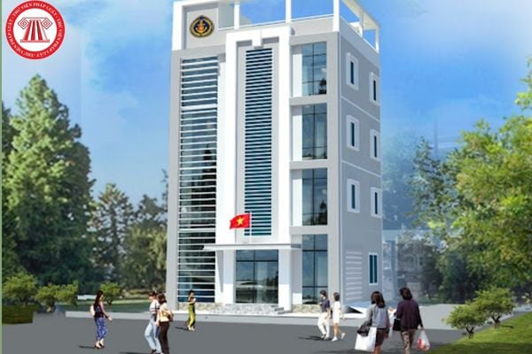 Pháp luật