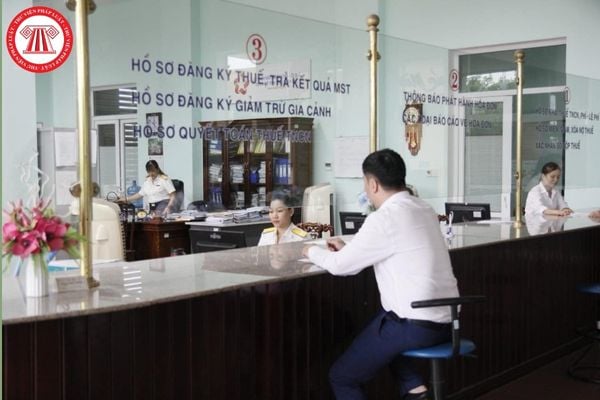 Pháp luật