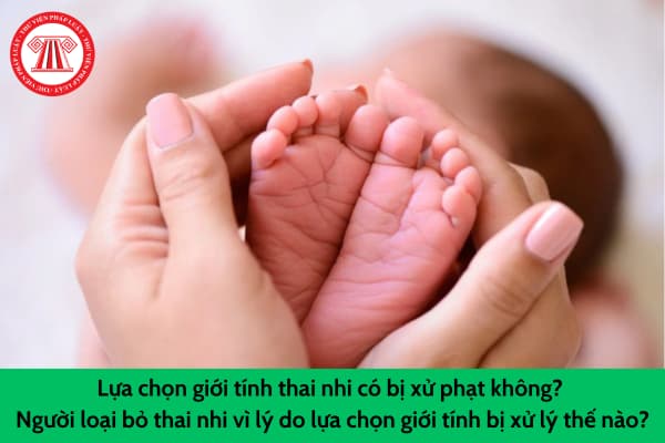 Lựa chọn giới tính thai nhi có bị xử phạt không? Người loại bỏ thai nhi vì lý do lựa chọn giới tính bị xử lý như thế nào?