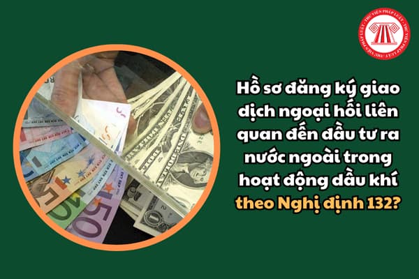 Hồ sơ đăng ký giao dịch ngoại hối liên quan đến đầu tư ra nước ngoài trong hoạt động dầu khí theo Nghị định 132?