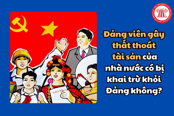 Đảng viên gây thất thoát, lãng phí tài sản nhà nước có bị khai trừ khỏi Đảng không? Nguyên tắc quản lý, sử dụng tài sản Nhà nước là gì?