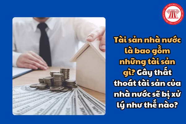 Tài sản nhà nước là bao gồm những tài sản gì? Gây thất thoát tài sản của nhà nước sẽ bị xử lý như thế nào?