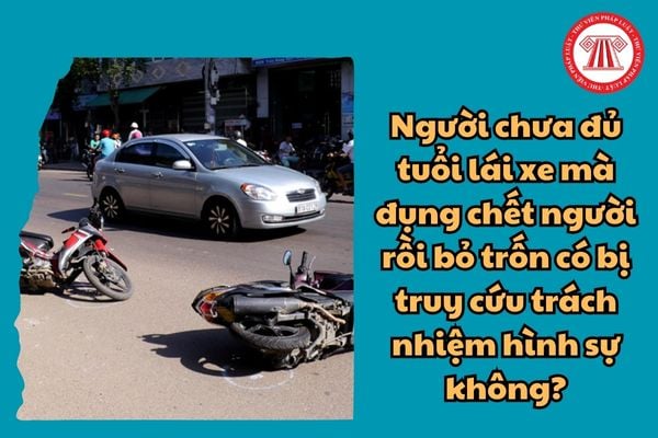 Người chưa đủ tuổi lái xe đụng chết người rồi bỏ trốn có bị truy cứu trách nhiệm hình sự không?