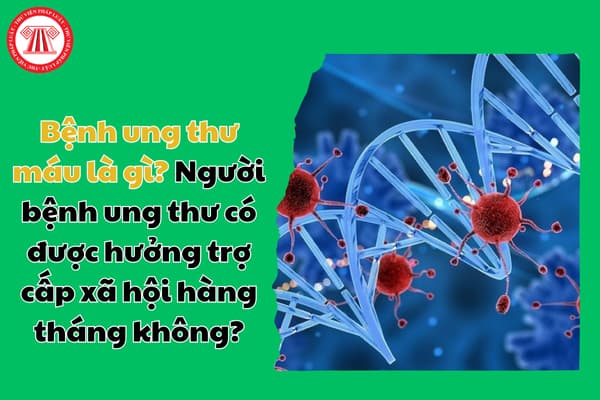 Bệnh ung thư máu là gì? Người bệnh ung thư có được hưởng trợ cấp xã hội hàng tháng không?