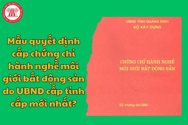 Mẫu quyết định cấp chứng chỉ hành nghề môi giới bất động sản do UBND cấp tỉnh cấp mới nhất?