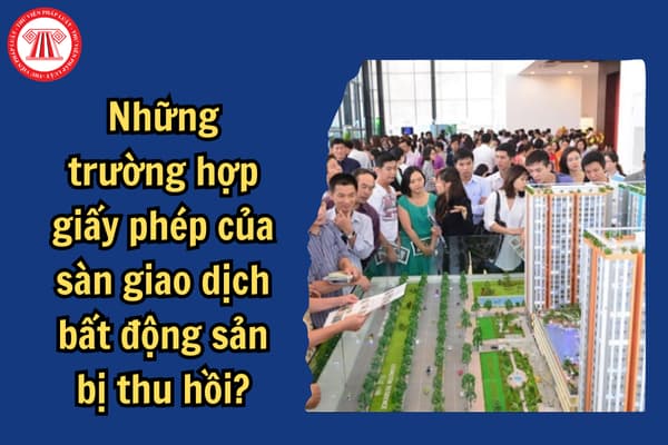 Những trường hợp giấy phép của sàn giao dịch bất động sản bị thu hồi?