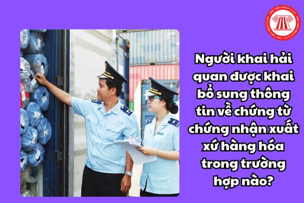 Người khai hải quan được khai bổ sung thông tin về chứng từ chứng nhận xuất xứ hàng hóa trong trường hợp nào?