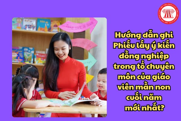 huong-dan-ghi-phieu-lay-y-kien-cua-dong-nghiep-trong-to-chuyen-mon