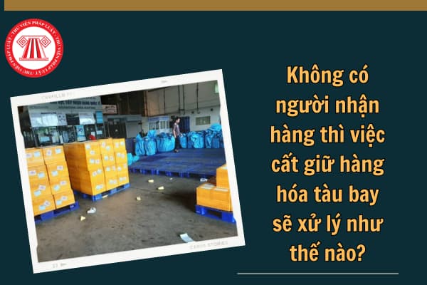 Không có người nhận hàng thì việc cất giữ hàng hóa tàu bay sẽ xử lý như thế nào? Người gửi hàng tàu bay có quyền định đoạt hàng hóa ra sao?