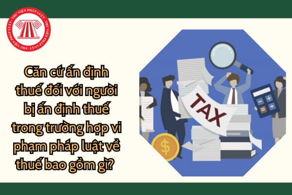 Căn cứ ấn định thuế đối với người bị ấn định thuế trong trường hợp vi phạm pháp luật về thuế bao gồm gì? 