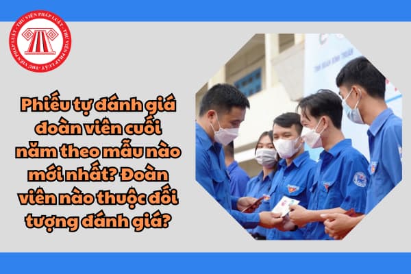 Phiếu tự đánh giá đoàn viên cuối năm theo mẫu nào mới nhất? Đoàn viên nào thuộc đối tượng đánh giá?