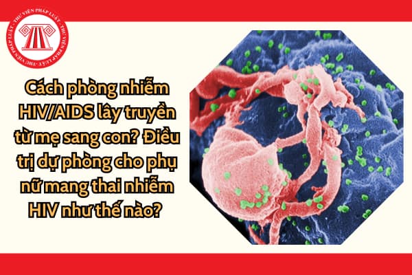 Cách phòng nhiễm HIV/AIDS lây truyền từ mẹ sang con? Điều trị dự phòng cho phụ nữ mang thai nhiễm HIV/AIDS hiện nay như thế nào? 