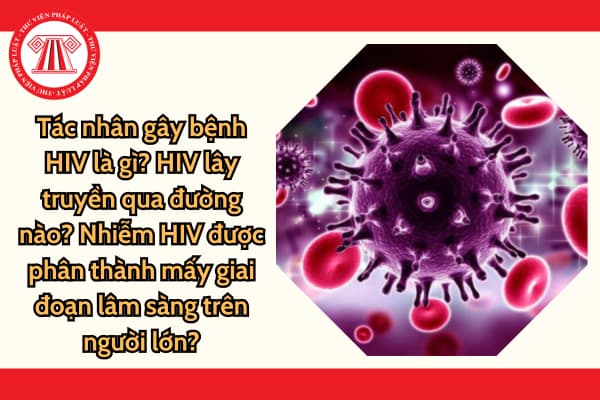 Tác nhân gây bệnh HIV là gì? HIV lây truyền qua đường nào? Nhiễm HIV được phân thành mấy giai đoạn lâm sàng trên người lớn?