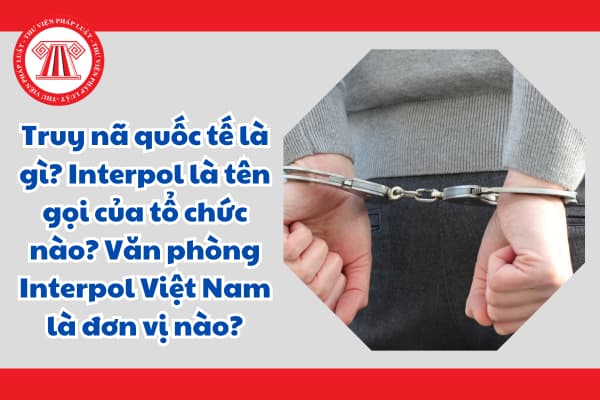 Truy nã quốc tế là gì? Interpol là tên gọi của tổ chức nào? Văn phòng Interpol Việt Nam là đơn vị nào?