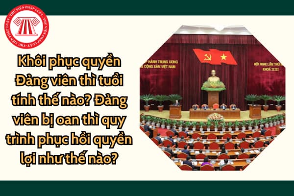 Khôi phục quyền Đảng viên thì tuổi tính thế nào? Đảng viên bị oan thì quy trình phục hồi quyền lợi như thế nào?