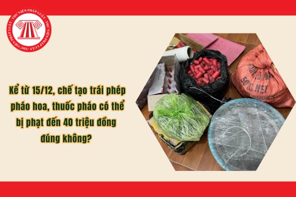 Pháp luật
