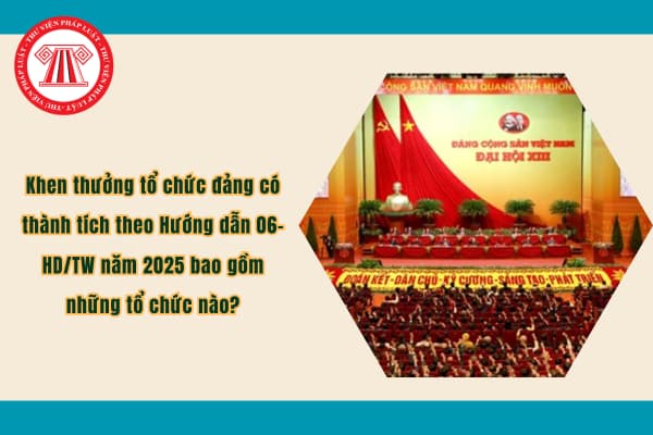 Pháp luật