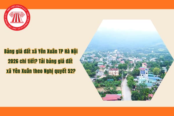 Pháp luật