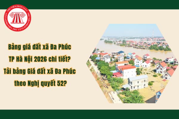 Pháp luật