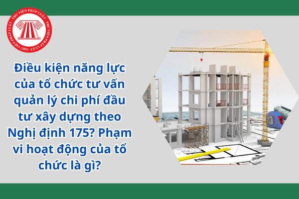 Điều kiện năng lực của tổ chức tư vấn quản lý chi phí đầu tư xây dựng theo Nghị định 175? Phạm vi hoạt động của tổ chức là gì?