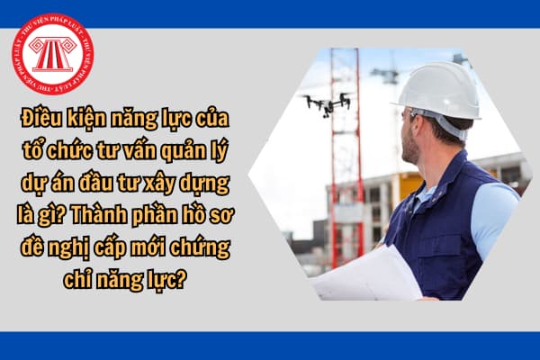 Điều kiện năng lực của tổ chức tư vấn quản lý dự án đầu tư xây dựng là gì? Thành phần hồ sơ đề nghị cấp mới chứng chỉ năng lực?