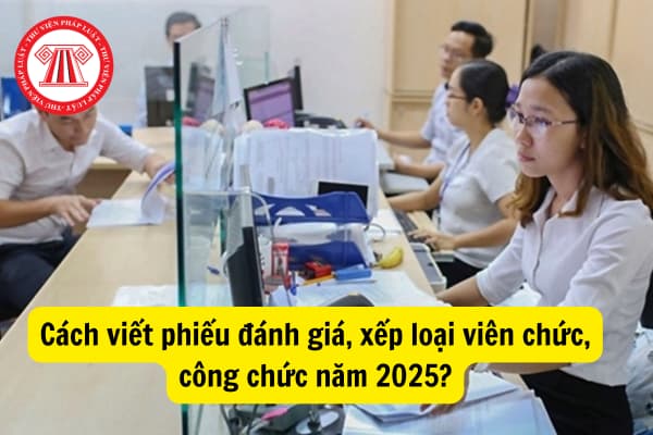 Cách viết phiếu đánh giá, xếp loại viên chức, công chức năm 2025?