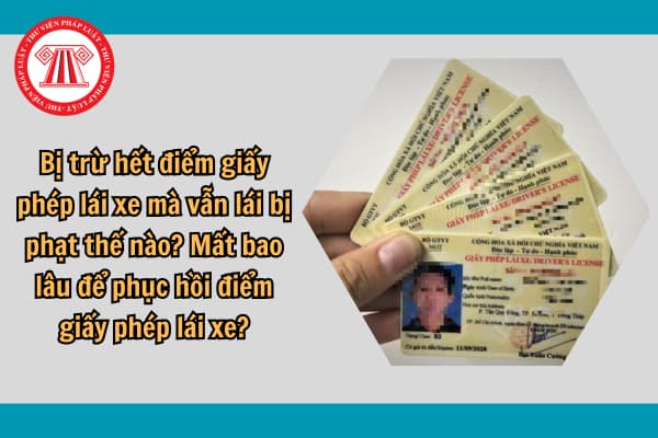 Bị trừ hết điểm giấy phép lái xe mà vẫn lái bị phạt thế nào? Mất bao lâu để phục hồi điểm giấy phép lái xe?