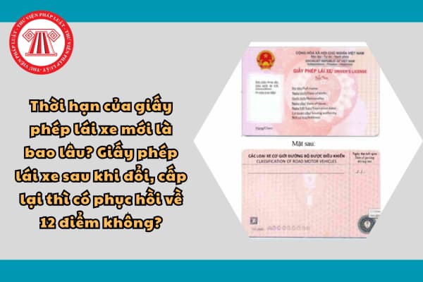 Thời hạn của giấy phép lái xe mới là bao lâu? Giấy phép lái xe sau khi đổi, cấp lại thì có phục hồi về 12 điểm không?