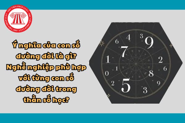 Ý nghĩa của con số đường đời là gì? Nghề nghiệp phù hợp với từng con số đường đời trong thần số học?