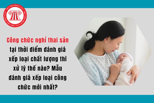 Công chức nghỉ thai sản tại thời điểm đánh giá xếp loại chất lượng thì xử lý thế nào? Mẫu đánh giá xếp loại công chức mới nhất?