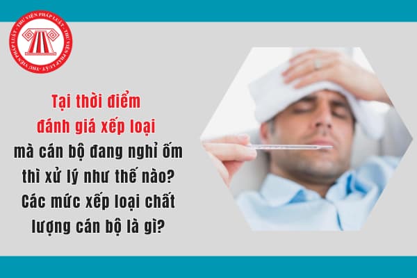 Tại thời điểm đánh giá xếp loại mà cán bộ đang nghỉ ốm thì xử lý như thế nào? Các mức xếp loại chất lượng cán bộ là gì?