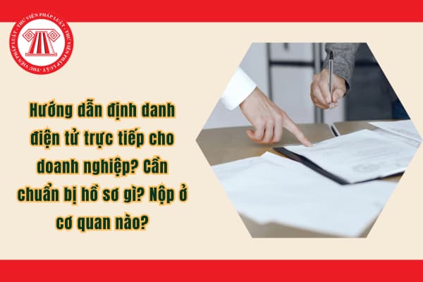 Pháp luật