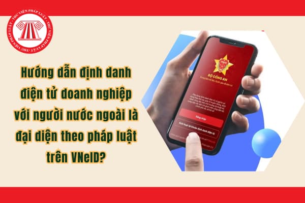 Pháp luật