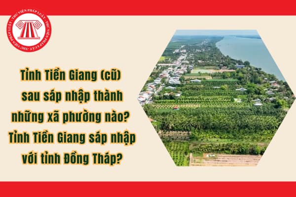 Pháp luật